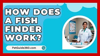 How Does A Fish Finder Work  PetGuide360com [upl. by Lyrrehs]