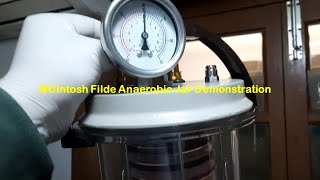 MCIntosh Filde Anaerobic Jar Demonstration [upl. by Erastus]