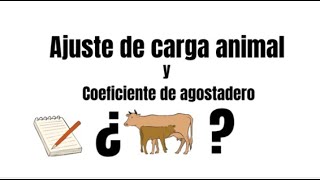 Ajuste de carga animal y el coeficiente de agostaderos [upl. by Kowalski]