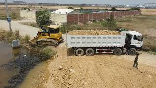 Starting new project Heavy Dozer working push soil FillingHeavy dump truck unloading soil [upl. by Miza228]