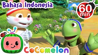 Kurakura dan Kelinci  CoComelon Kartun Anak Anak  Moonbug Kids Indonesia [upl. by Iramohs]