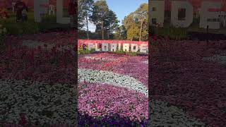 Beautiful Floriade 2024 shorts video [upl. by Cummings]