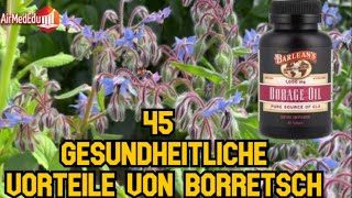 45 gesundheitliche Vorteile von Borretsch [upl. by Adnahcir848]