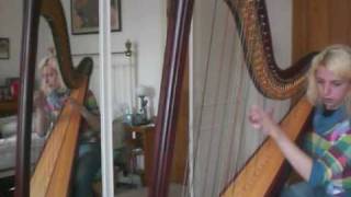 Inflammatory Writ  Joanna Newsom Harp Cover [upl. by Jem380]