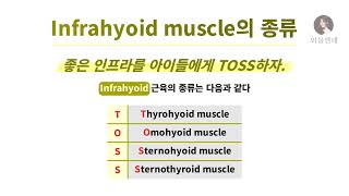 암기법 Infrahyoid muscle의 종류 [upl. by Nay]