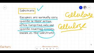 Enzymes Lecture 1 Introduction [upl. by Akenor]