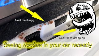 Seeing roaches in your car recently [upl. by Boyden]