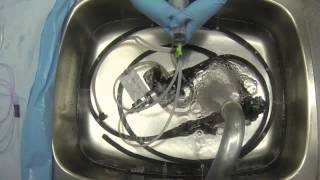 Flexible Endoscope Reprocessing  Flushing amp Rinsing [upl. by Otte689]