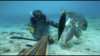 Spearfishing Passion  NC100TP quotDentex amp Amberjackquot by Bože Muše [upl. by Ilahtan]