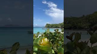 Mustiquegrenadines [upl. by Storer]