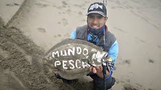 Pesca de Lenguado en Lima [upl. by Virgilia]