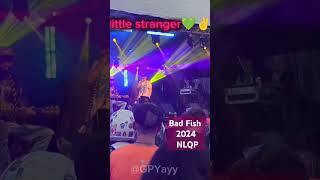 Fall BadFish24 nlqp badfish festival littlestranger support travel shortvideo KikNWing [upl. by Bridie]