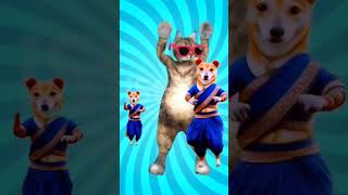 Cute Dog amp Cute Cat Dance dog funny cute ytshorts youtubeshorts [upl. by Hakan]