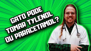 Gato pode tomar Tylenol ou Paracetamol  Dr Edgard Gomes [upl. by Hcirteid]