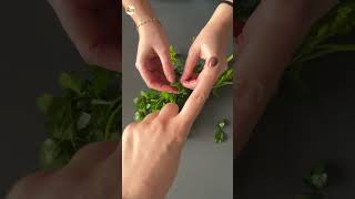 Astuce pour effeuiller ses herbes aromatiques super facilement  🌿 hack foodhack recettefacile [upl. by Feinstein]