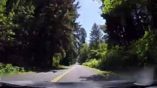 DRIVE THROUGH REDWOOD NATIONAL PARK gopro 4 HD [upl. by Idnak727]