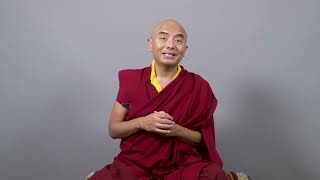 A special birthday message from our beloved teacher Yongey Mingyur Rinpoche [upl. by Hisbe]