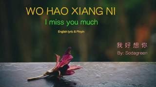 Wo Hao Xiang Ni lyric I Miss You Much  Pinyin amp English  Learn Chinese by songs [upl. by Lyreb]