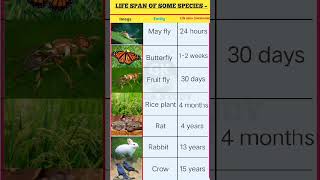 Life span of some species – Examplesgkkiknowledge youtubeshort viralgkvideo lifegkstudy gk [upl. by Yraek]