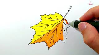 How to Draw an Autumn Leaf [upl. by Anitnamaid]