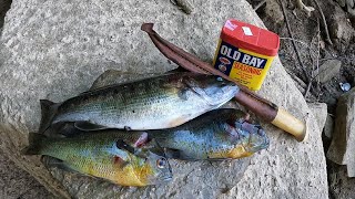 Jumbo Red Breasted Sunfish Bass and Cajun Fries Lakeside [upl. by Eilrac220]