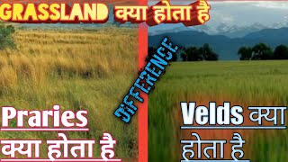 Difference between Prairies and Velds  What is Grassland [upl. by Leimaj]