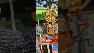 Manda peethalu inka lobster  thota rao  sai vizag 19fishing crabs lobster vizag shorts [upl. by Atlee]