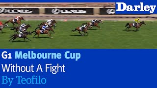 Without a Fight by Teofilo wins the G1 Melbourne Cup [upl. by Rubetta]