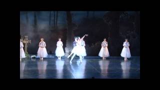 Joburg Ballet Show Reel [upl. by Volnak]