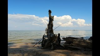 Fishing at Calvert Cliffs State Park [upl. by Dew]