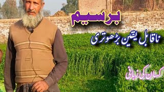 Berseem Ki kheti Kesy kryHow to grow BerseemBerseemبرسیم کی کاشت [upl. by The801]