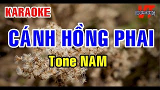 Karaoke CÁNH HỒNG PHAI Tone NAM Trấn Thành [upl. by Hutchinson]