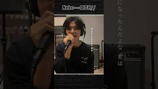 DISHNeko最近この曲本當にハマってます（笑）shorts cover [upl. by Arem]