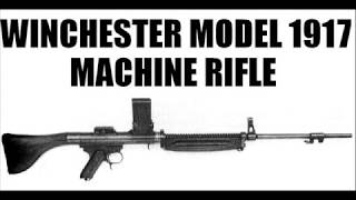 The First American Assault Rifle  Winchester M1917 Machine Rifle [upl. by Dlaniger476]