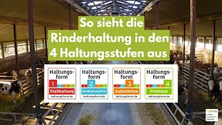 Rinderhaltung  So sehen die 4 Haltungsformen aus [upl. by Ybreh]