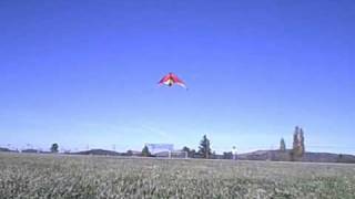 New Tech Kites PYRO Stunt Sport Kite Burn [upl. by Lehctim15]