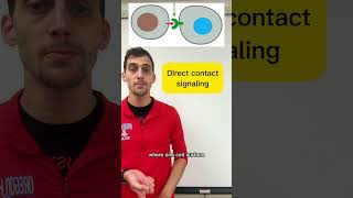 AP Bio 41 Cell Communication in less than a minute apbiology apbio biology [upl. by Helas]