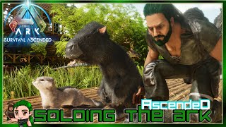 Breeding my Perfect Megatherium Soloing the Ark Ascended 50 [upl. by Gregrory628]