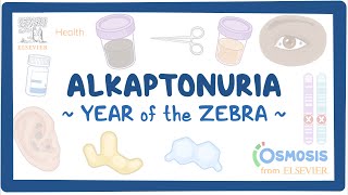 Alkaptonuria Year of the Zebra [upl. by Keelby661]