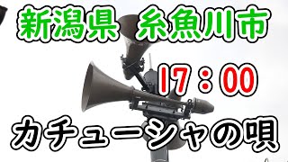 新潟県 糸魚川市 防災無線 冬季 17：00 カチューシャの唄 [upl. by Ahsauqram]