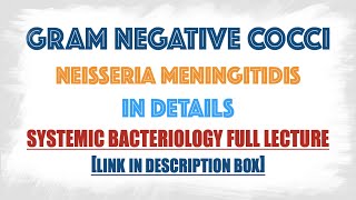 Neisseria Meningitidis Meningococci  virulence factorsClinical manifestations Lab diagnosis [upl. by Elmo]