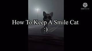 Smile Cat A Taming Tutorial 🙂😺 [upl. by Sarid569]