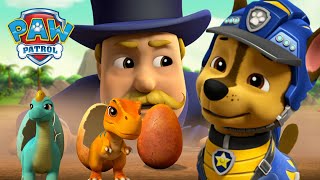 Dino Rescue pups bring the dinosaur eggs home safely  PAW Patrol Episode Cartoon Compilation [upl. by Cad]