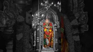 kandhan kaladiyai vananginal murugan tamildevotionalsongs tamilkadavul song [upl. by Ratcliff]