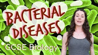 Bacterial diseases  GCSE Biology Revision for 2020 [upl. by Etiragram]