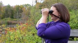 How to get crystal clear focus with your binoculars [upl. by Kella487]