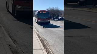 XD40 8239 On Route 40 To Crowfoot Station transit shorts bus calgary yyc fyp short [upl. by Naleek]