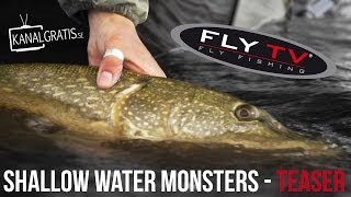 TEASER FLY TV  Shallow Water Monsters  Fly Fishing for Big Pike [upl. by Eltsyrhc585]