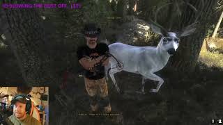 Albino Mule deer NO its Dilute  Thanks Treekiwi for 500Rare EMSPart2 [upl. by Htieh]