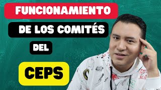 FUNCIONAMIENTO DE LOS COMITÉS DEL CEPS [upl. by Ayiram]